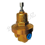 GAS DELIVERY REGULATOR